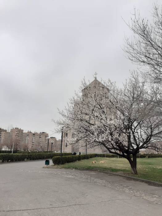 WhatsApp Image 2021-04-18 at 5.00.52 AM