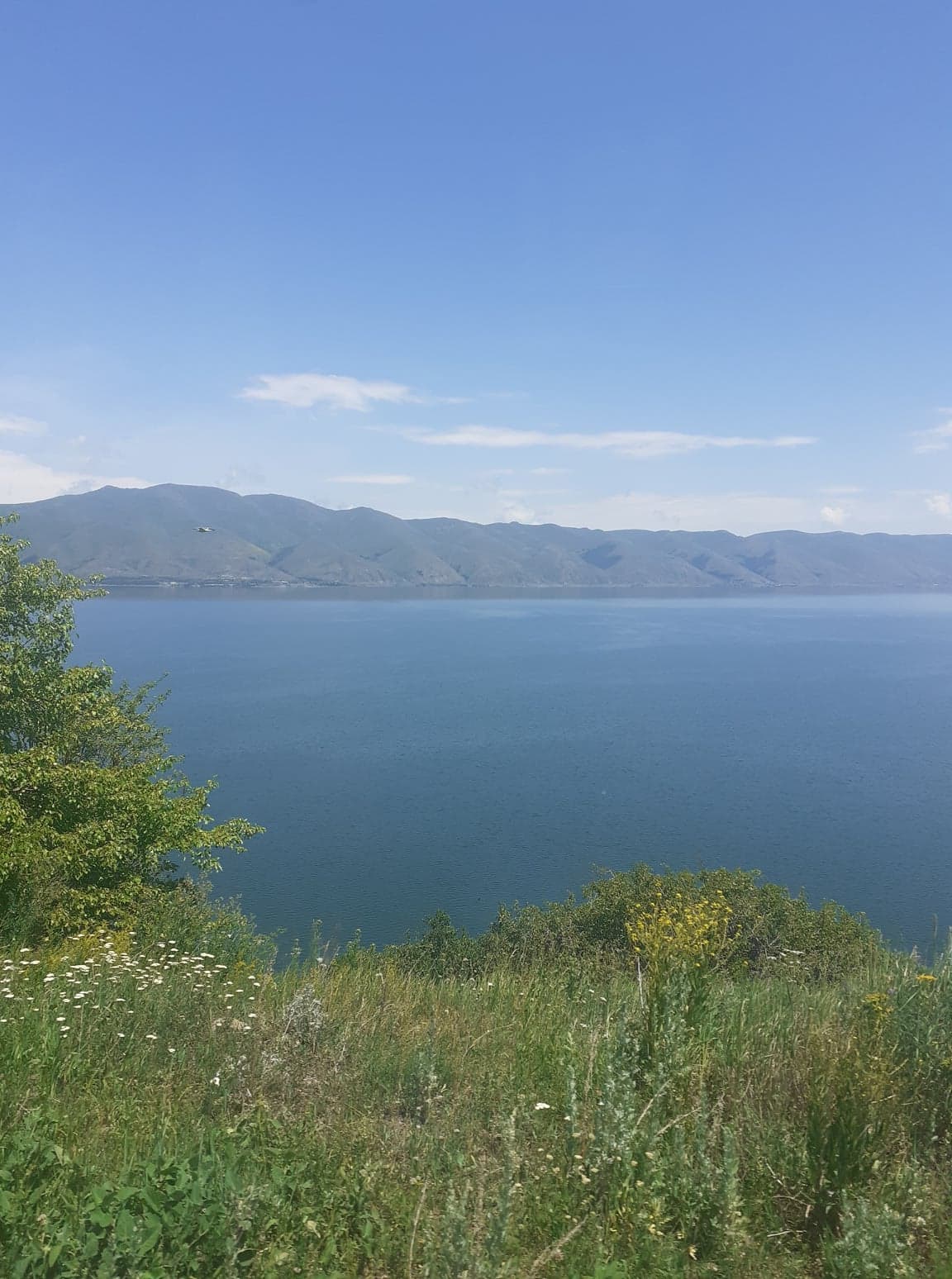 199278376_152881843444781_4218058259674464295_n