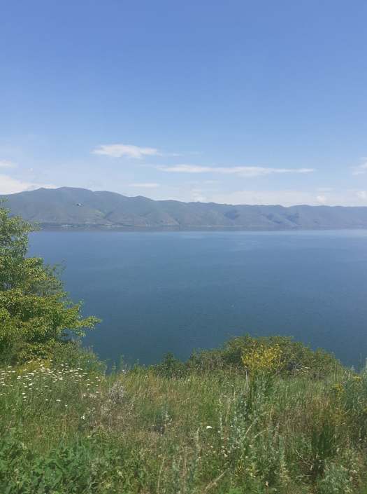 199278376_152881843444781_4218058259674464295_n